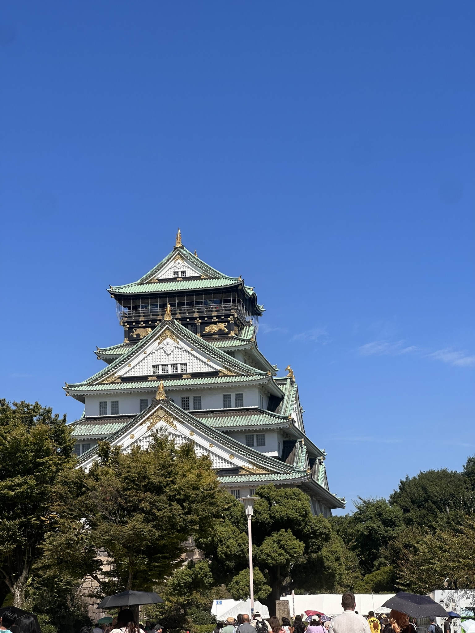 An picture of a castle in Osaka
