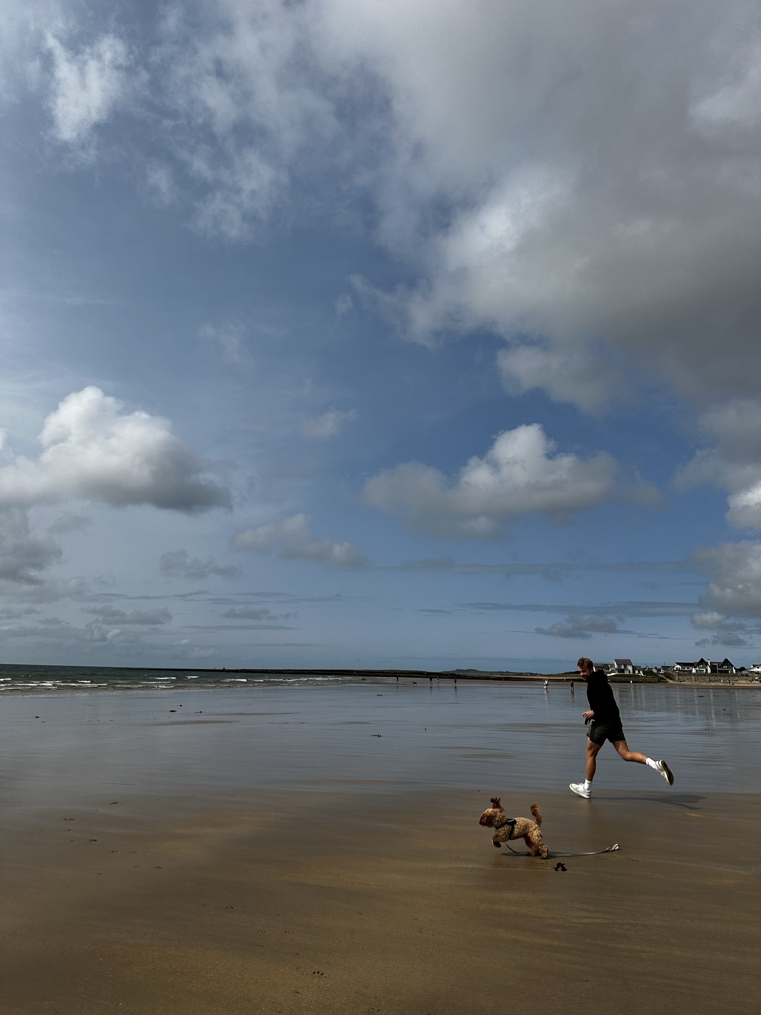 A picutre of Simba (pet dog) and Brett (my boyfriend) running along the beach